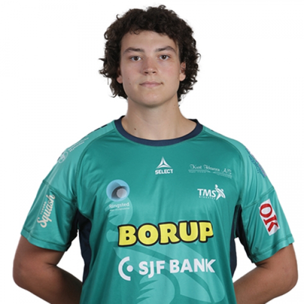 Valdemar Rosted Landvad