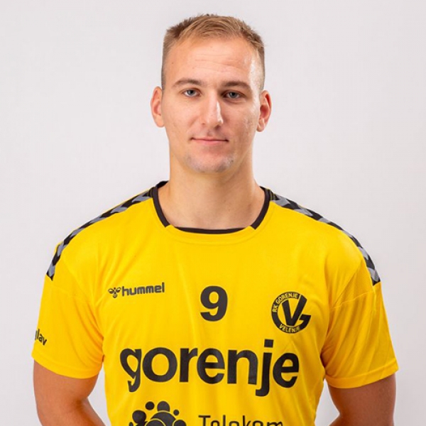 Domen  Tajnik