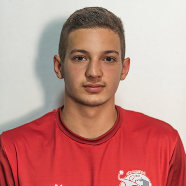 Luka Vukićević