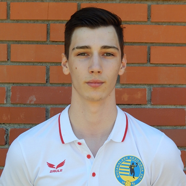 Dominik  Vrhovina