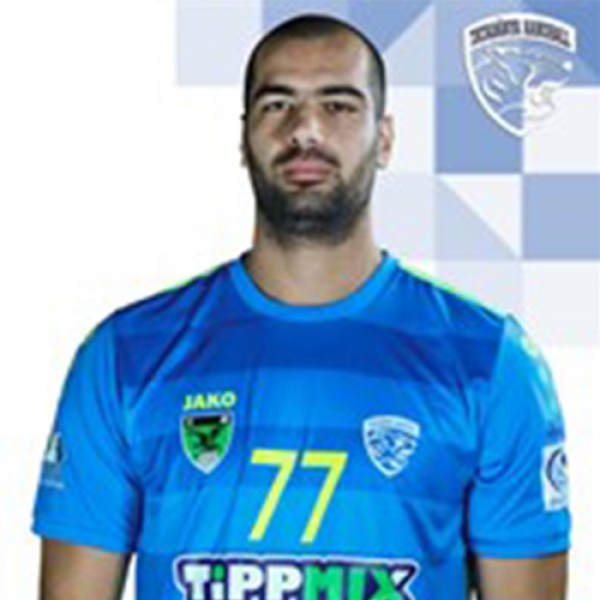 Vladimir Vranjes